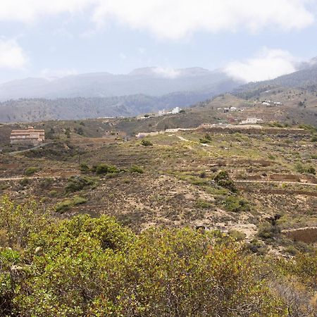 Live Arico El Cortijo Casa Rural Con Solarium & Terrace Arico Viejo 外观 照片