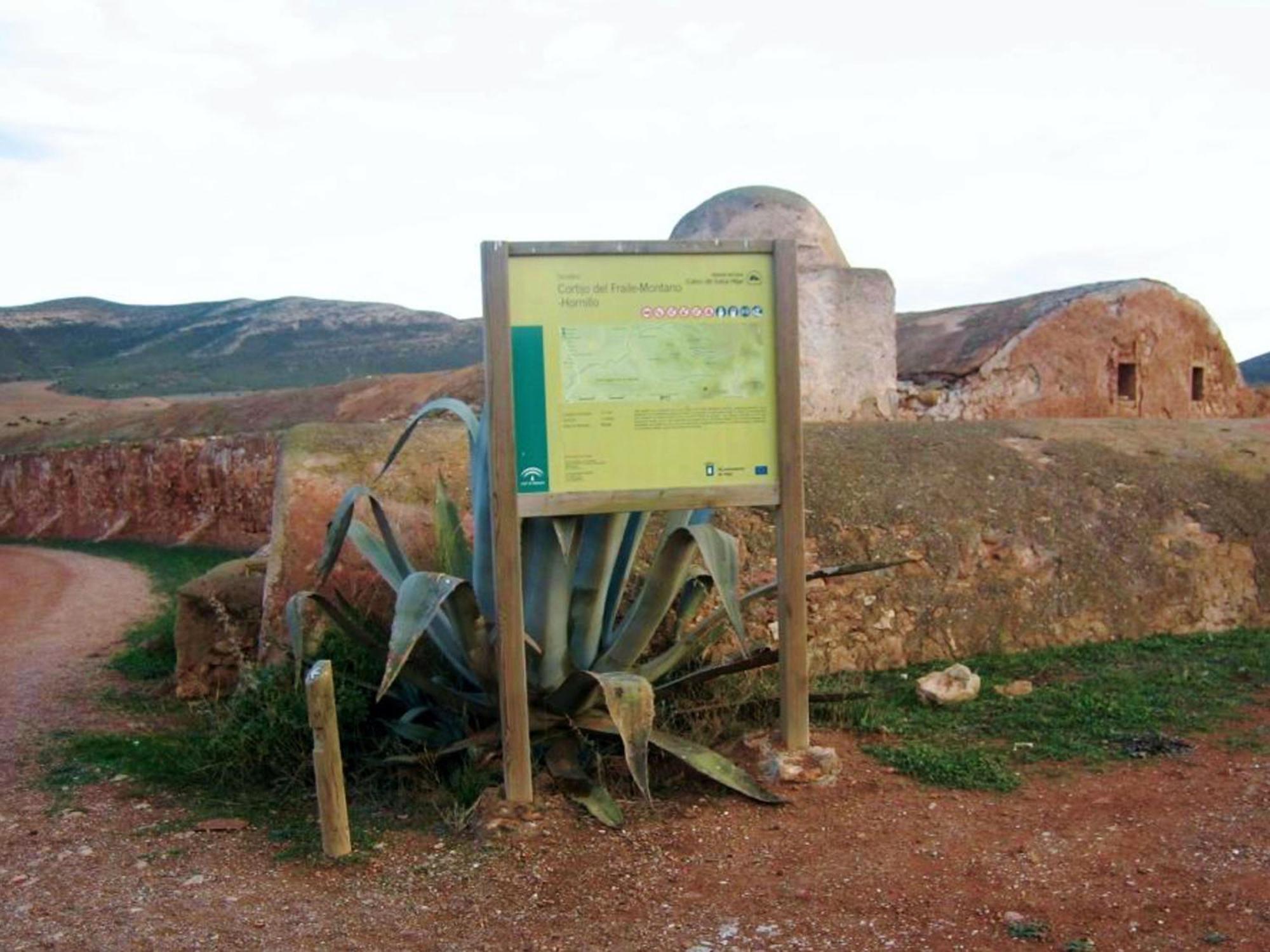 Live Arico El Cortijo Casa Rural Con Solarium & Terrace Arico Viejo 外观 照片