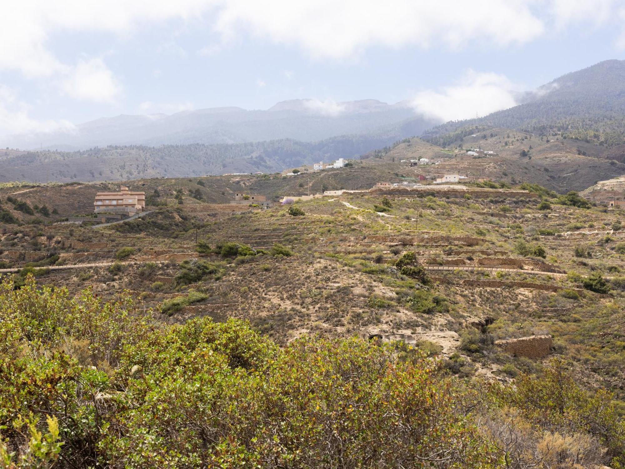 Live Arico El Cortijo Casa Rural Con Solarium & Terrace Arico Viejo 外观 照片